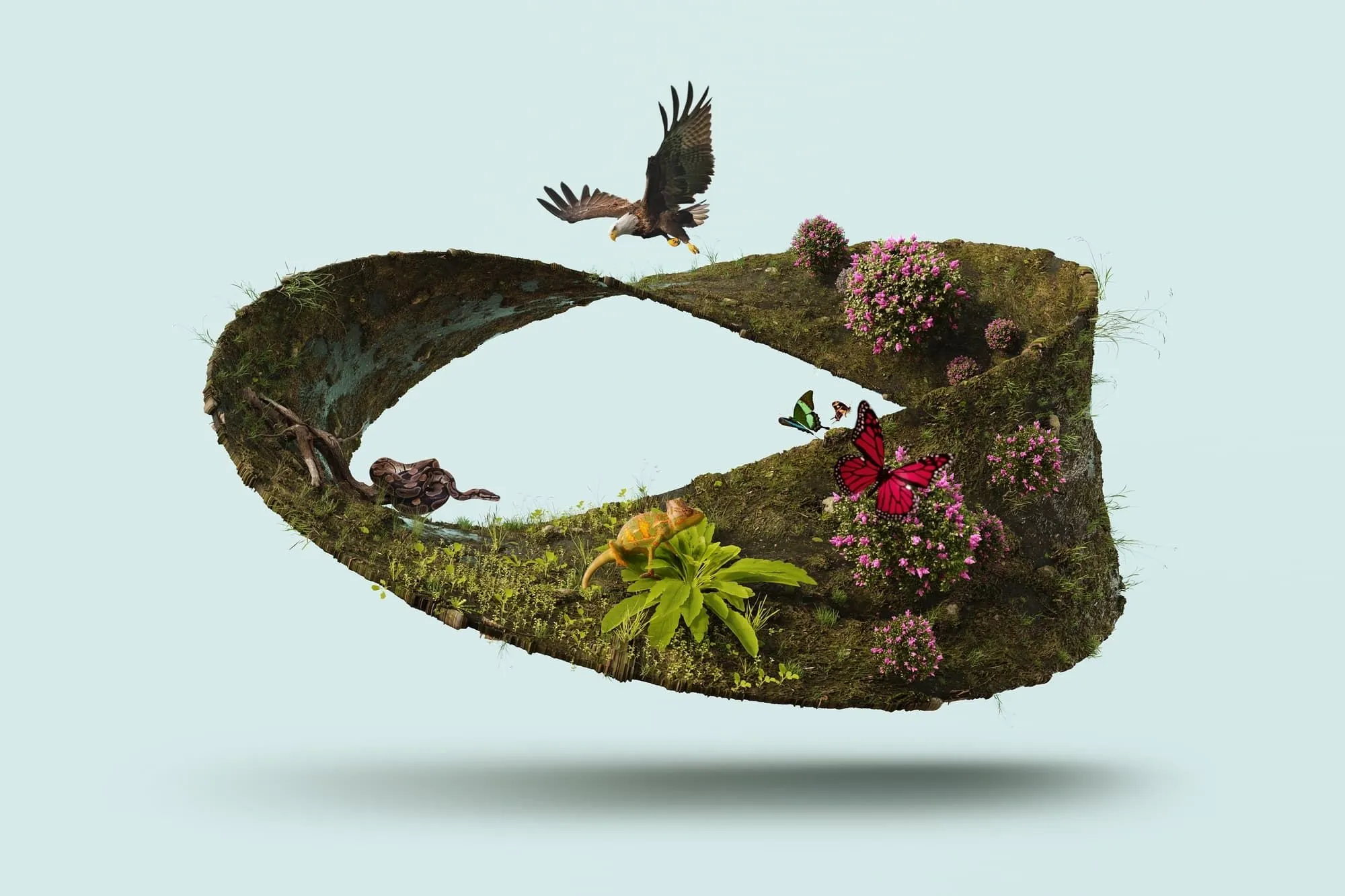 Ekosistem Değerlendirme Raporu Kapsamında Flora ve Fauna Saha Gözlemi