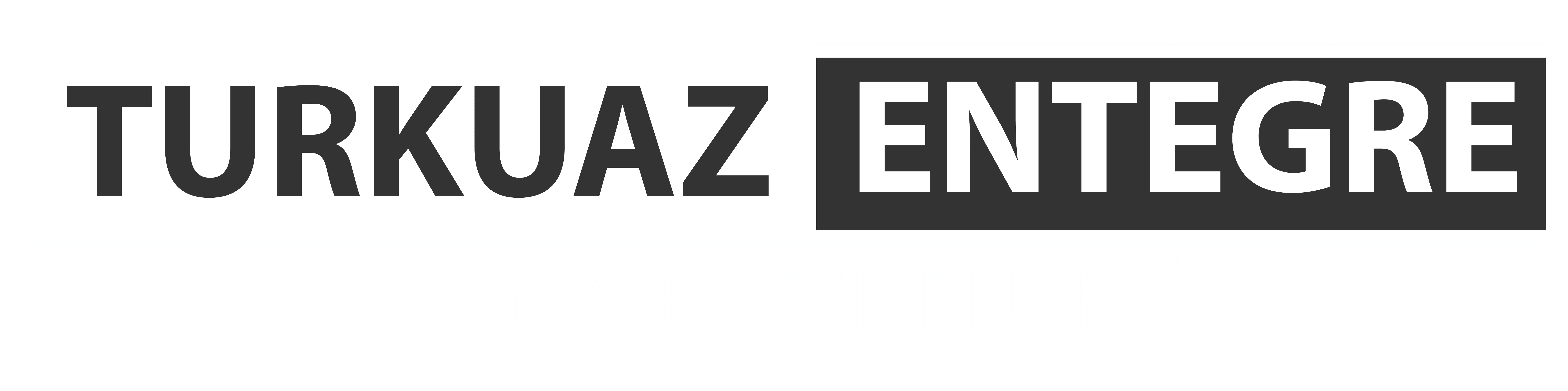 logo_turkuaz_f.png